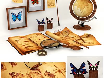 Vintage Decorative Ornament Set With Globe Magnifying Glass Butterfly Specimens Map And Frames 3d model
