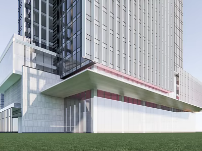 Modern Tall Office Building With Glass Curtain Wall White Walls Red Accents And Green Lawn 3d model