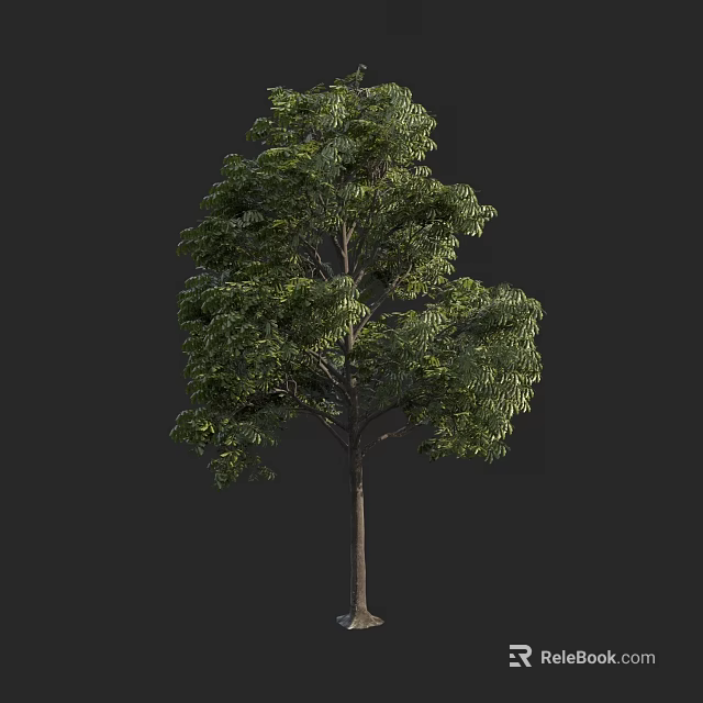 Lush Green Tree with Dense Foliage and Strong Trunk in Natural Setting 3d model 