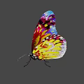 Vibrant Colorful Butterfly Artwork With Geometric Patterns And Bright Hues