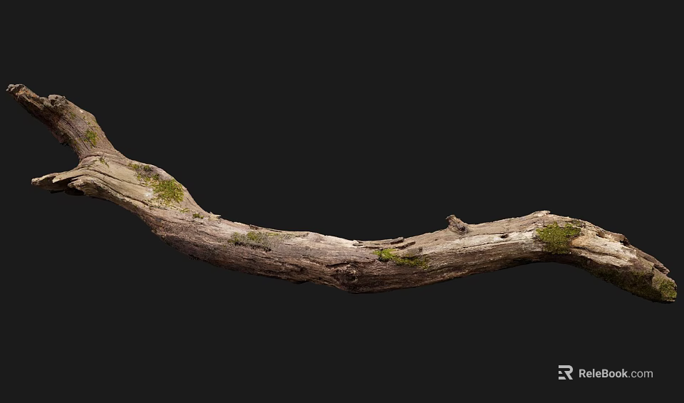 Natural Wood Branch With Stone Like Texture And Moss For Decoration 3d model 