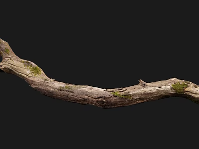 Natural Wood Branch With Stone Like Texture And Moss For Decoration 3d model