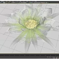 Stunning Vase Flower With Gray Green Petals And Yellow Center Design