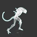 Alien Like Game Movie Character Featuring Long Tail Slim Limbs And Exoskeleton Structure 3d model