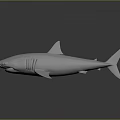 Realistic White Shark Model Featuring Smooth Surface on Dark Background with Reflection