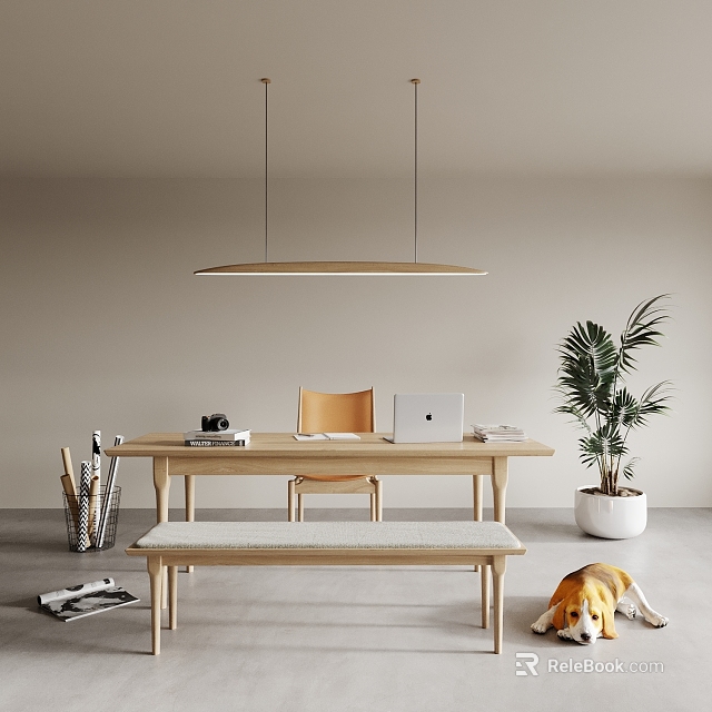 Modern Wooden Desk With Laptop Camera Books Chair Bench Palm Plant And Dog Interior 3d model 