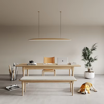 Modern Wooden Desk With Laptop Camera Books Chair Bench Palm Plant And Dog Interior 3d model