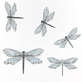 Decorative Dragonfly Wall Decor With Blue Wings And Curved Patterns Design 3d model