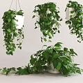 Modern hanging basket green dill hanging basket 3d model