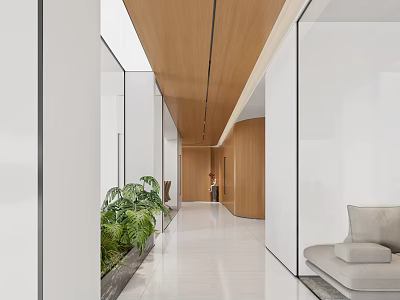 Modern Office Corridor Interior With Wooden Ceiling Glass Partitions And Green Plants 3d model