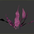 Low Poly Pink Plant With Geometric Leaves On Black Background Showing Reflection And Light Spots