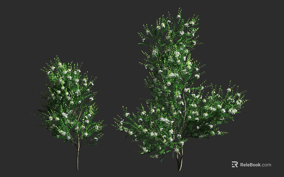 Two Arbor Trees With White Flowers And Lush Green Branches 3d model 