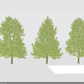 Three Arbor Trees With Green Leaves and Trunks Against White Background 3d model