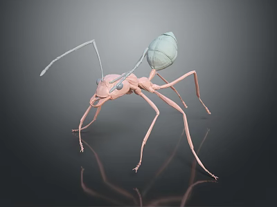 3D Model Light Pink Ant With Transparent Abdomen Long Slender Legs Antennae On Dark Background 3d model