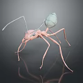 3D Model Light Pink Ant With Transparent Abdomen Long Slender Legs Antennae On Dark Background