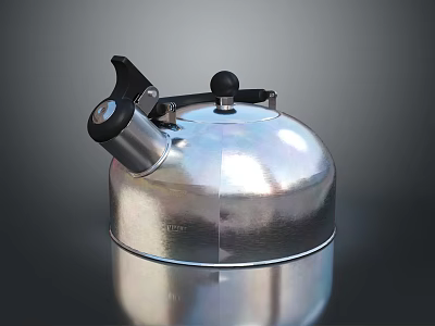 Silver Metallic Water Boiling Kettle With Black Handle Top Button Shiny Surface Modern Design 3d model