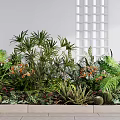 Diverse Indoor Plant Combination With Tropical Leaves Ferns Cacti And Orange Blooms