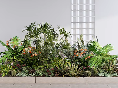 Diverse Indoor Plant Combination With Tropical Leaves Ferns Cacti And Orange Blooms 3d model