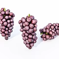 Fresh Ripe Purple Grapes Bunch of Juicy Fruits on White Background