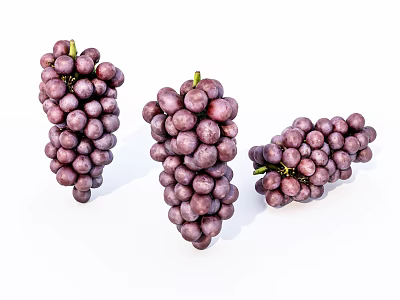Fresh Ripe Purple Grapes Bunch of Juicy Fruits on White Background 3d model