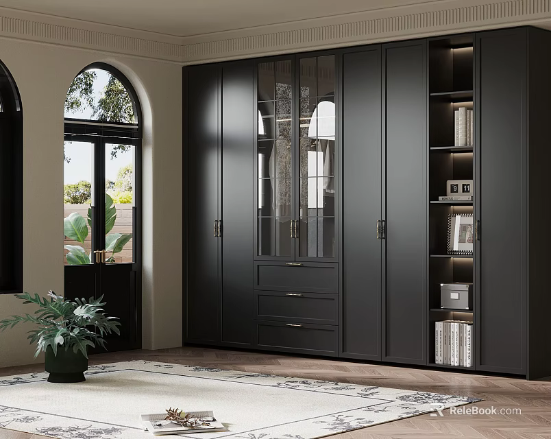 Modern Interior Space With Black Storage Cabinetry Glass Doors Arched Window Plant And Rug 3d model 