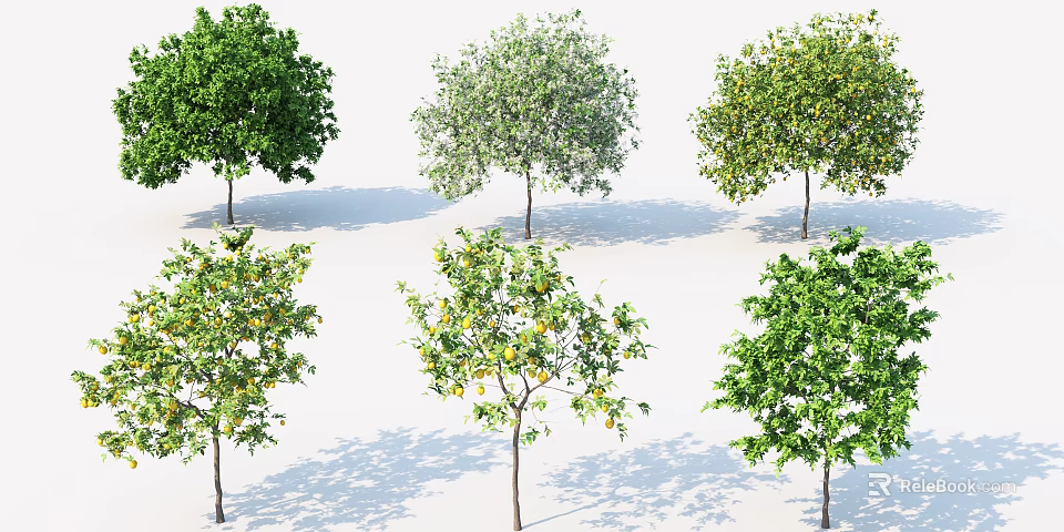 Various Types of Trees Featuring Green Leaves and Fruits in Different Growth States 3d model 