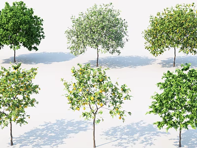 Various Types of Trees Featuring Green Leaves and Fruits in Different Growth States 3d model