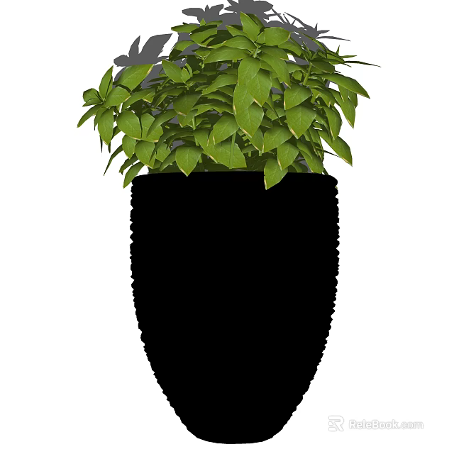 Lush Green Foliage Bonsai Potted Plant In Black Ceramic Pot 3d model 
