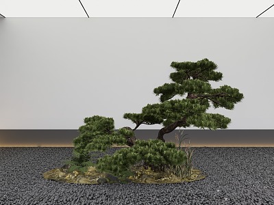 Yingke Pine Courtyard Small Landscape Gardening Small Landscape model