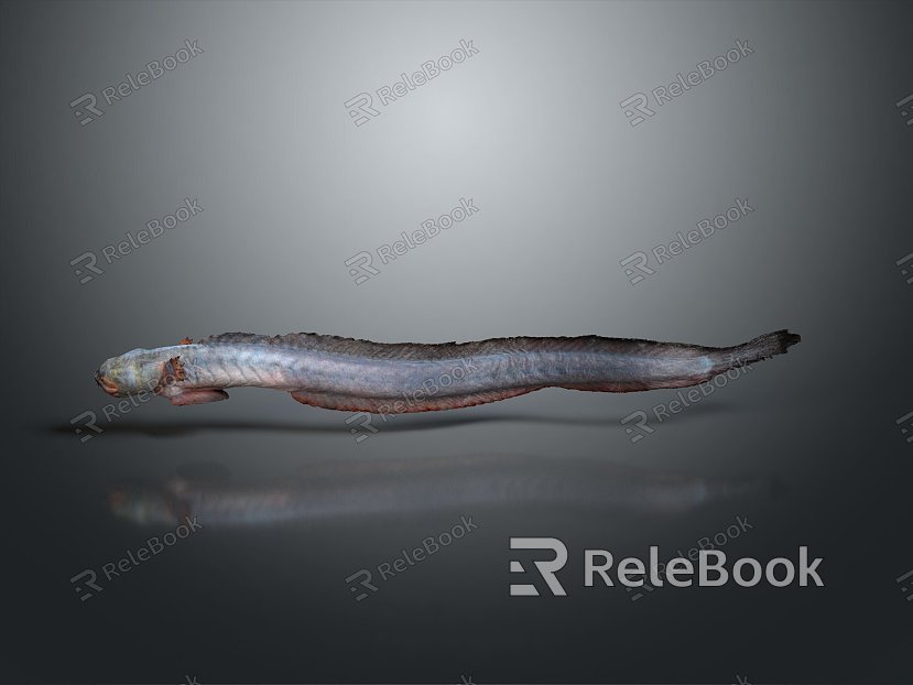 eel electric eel marine fish animal deep sea fish model