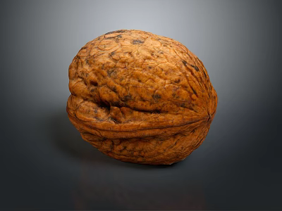 Whole Natural Walnut With Brown Textured Shell On Dark Background 3d model