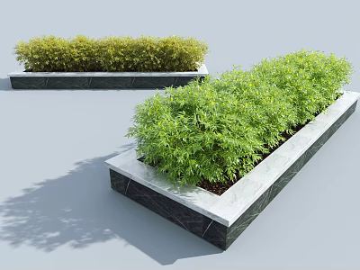 Lush Green Bushes Growing In Stone Rectangular Planters For Garden Landscaping 3d model