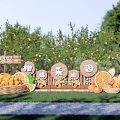 Vibrant Citrus Festival Scene In Orchard With Fresh Citrus Baskets And Wooden Signs