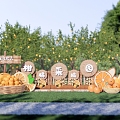 Modern Meichen Orange Park Landscape Citrus Picking Garden Entrance Wall Orange Meichen Fruit Planting Farm Citrus Garden 3d model