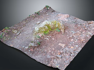 Natural Ground With Mossy Rock Small Plants Soil And Pebbles 3d model