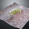 Natural Ground With Mossy Rock Small Plants Soil And Pebbles