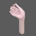 Anatomically Detailed Human Hand with Palm Up and Naturally Curved Fingers Against Gray Background