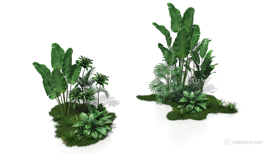 Natural Photo Spot With Lush Green Plants Large Leaves And Small Greenery In Grass Area 3d model 