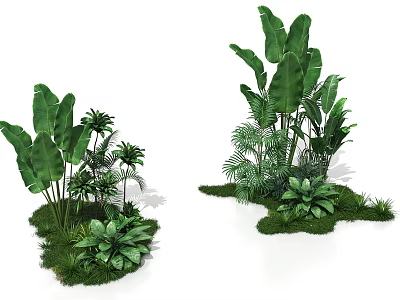 Natural Photo Spot With Lush Green Plants Large Leaves And Small Greenery In Grass Area 3d model