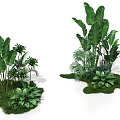 Natural Photo Spot With Lush Green Plants Large Leaves And Small Greenery In Grass Area