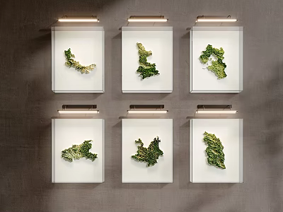 Six Pieces Of Plant Shaped Wall Decor With Lights On Gray Wall 3d model