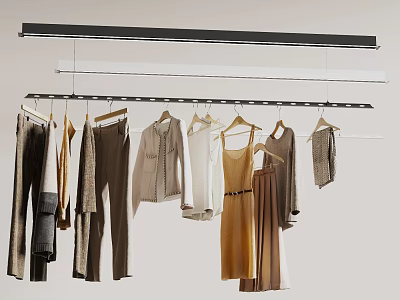 Metal Rod Clothes Hanger with Hanging Shirts Pants Dresses and Blouses in Organized Arrangement 3d model