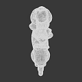 Traditional Chinese Jade Carving With Intertwined Mythical Animal Figures