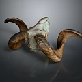 Highly Detailed Medical Skeleton Model With Curved Horns For Anatomical Education