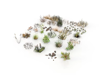 Diverse Collection of Natural Plants Featuring Grasses Shrubs and Foliage 3d model
