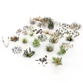Diverse Collection of Natural Plants Featuring Grasses Shrubs and Foliage