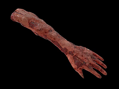 Decayed Human Arm with Damaged Reddish Brown Skin and Visible Stains on Black Background 3d model
