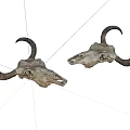 Two Bull Skulls With Curved Horns Isolated On White Background