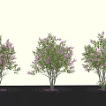 Modern Landscape Trees Courtyard Trees Street Trees Landscaping Trees 3d model