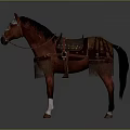 Medieval Rider With Brown Horse In Ornate Tack Saddle Bridle And White Legs